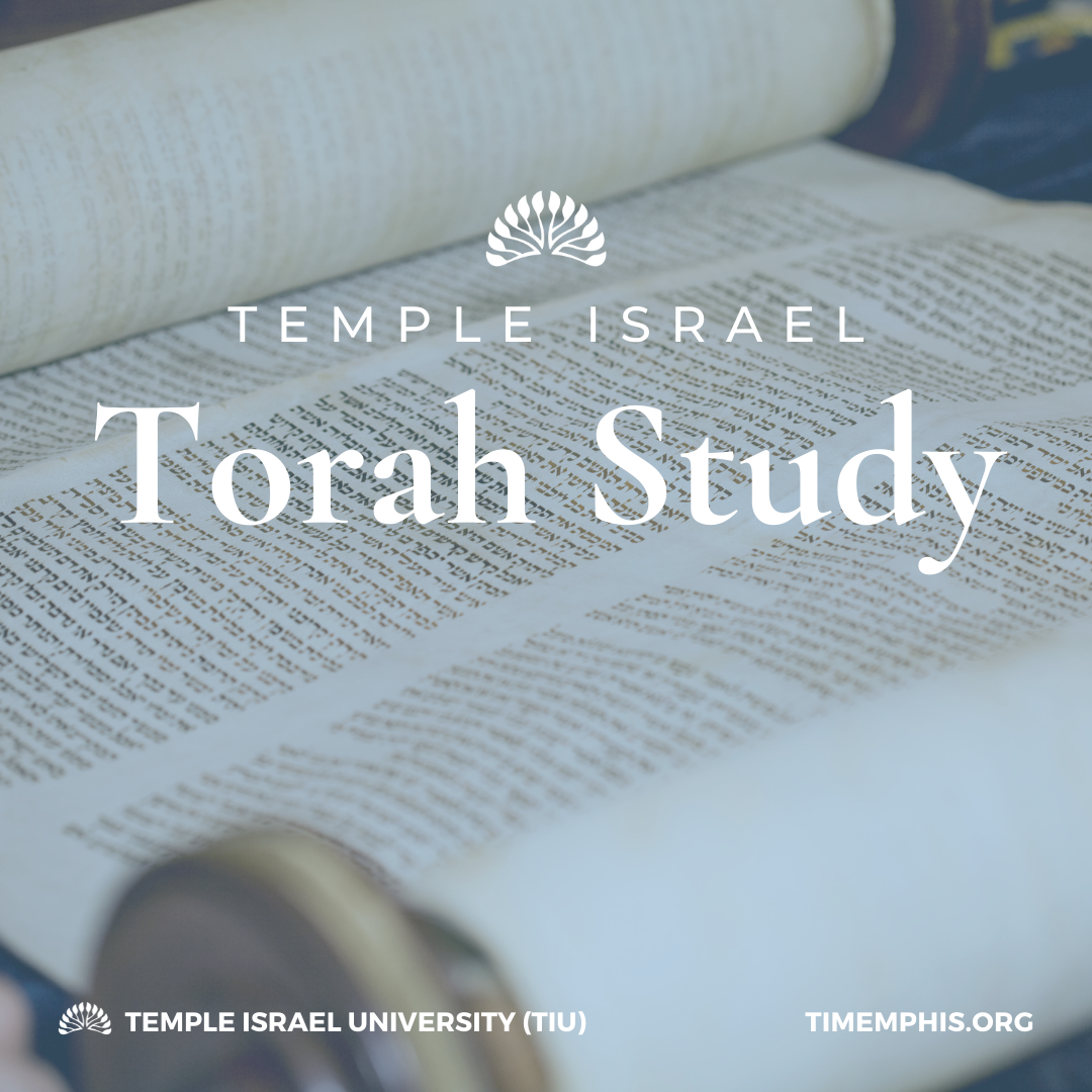 torah study