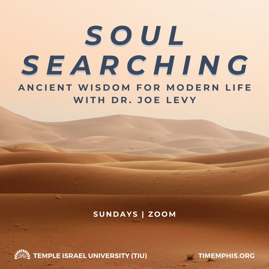 Soul Searching : Ancient Wisdom for Modern Life (Dr. Joe Levy)